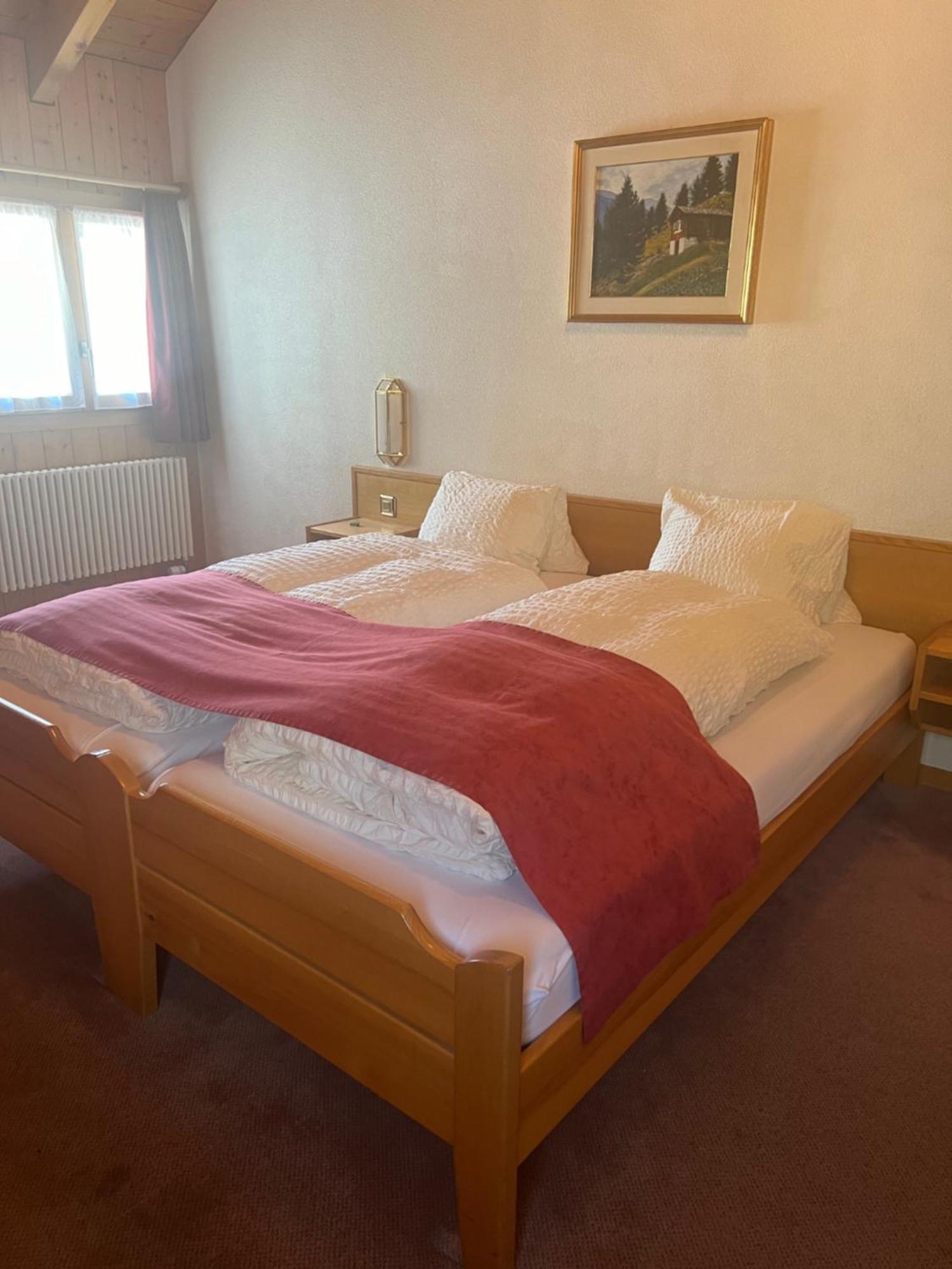 Hotel Grimsel Obergesteln Екстер'єр фото