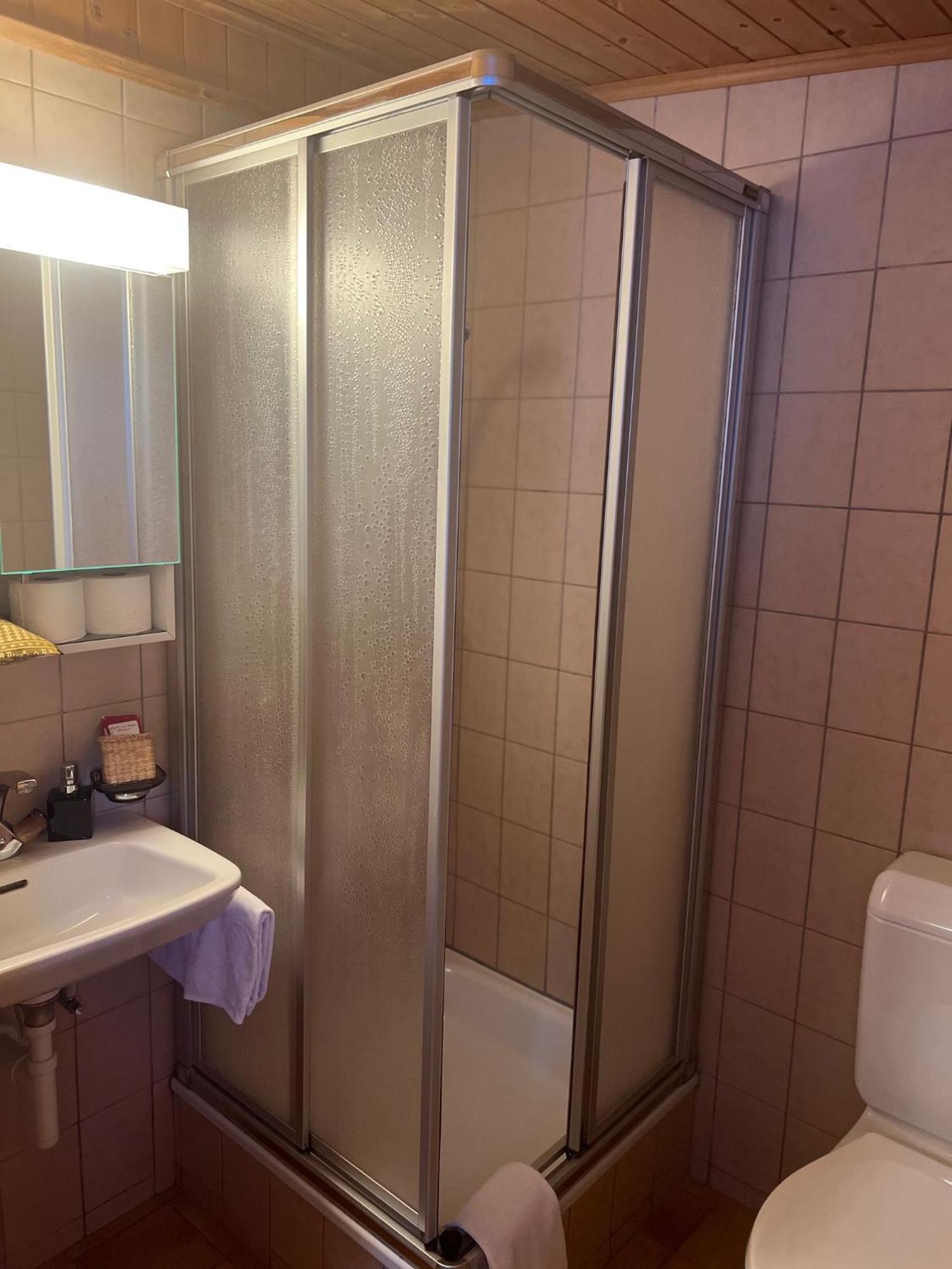 Hotel Grimsel Obergesteln Екстер'єр фото